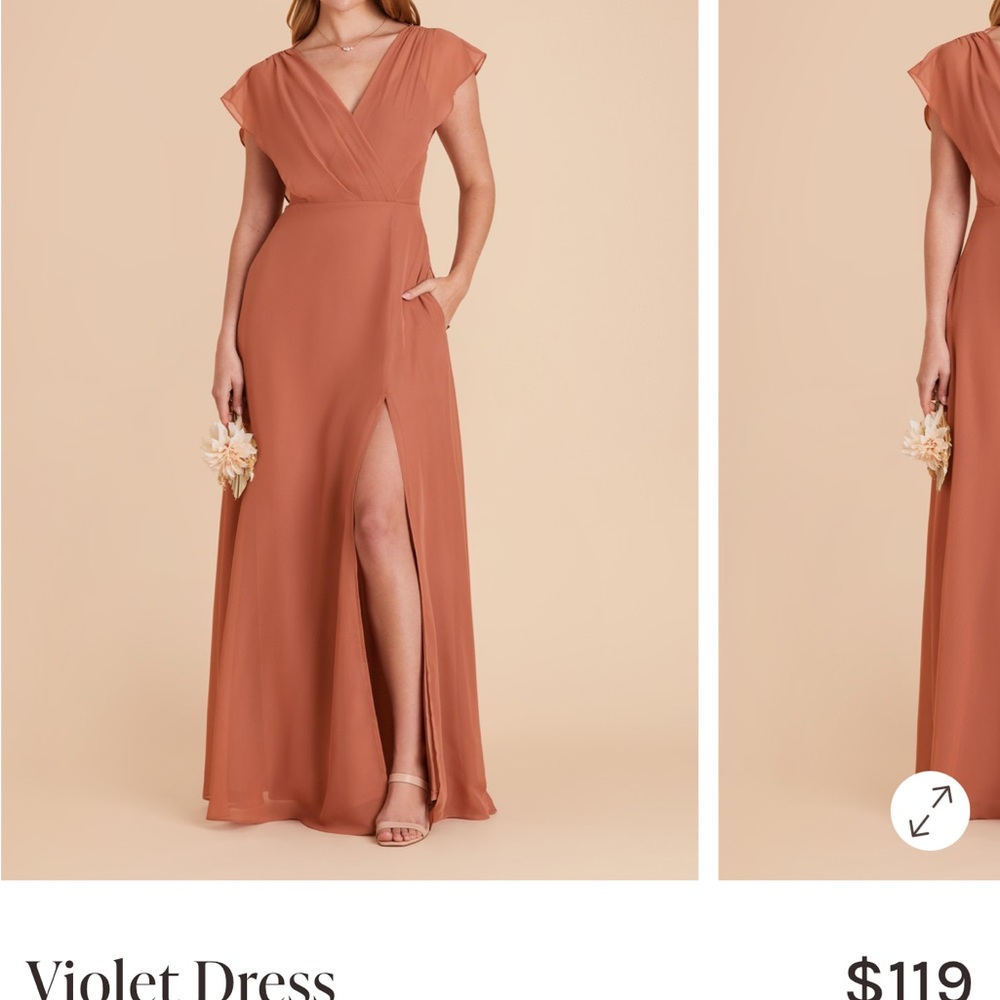 Birdy Grey Terracotta Violet Chiffon Dress